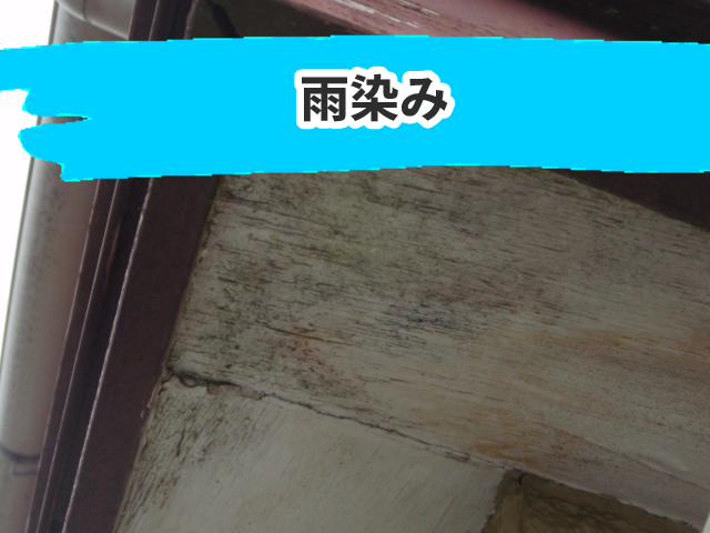 雨染み